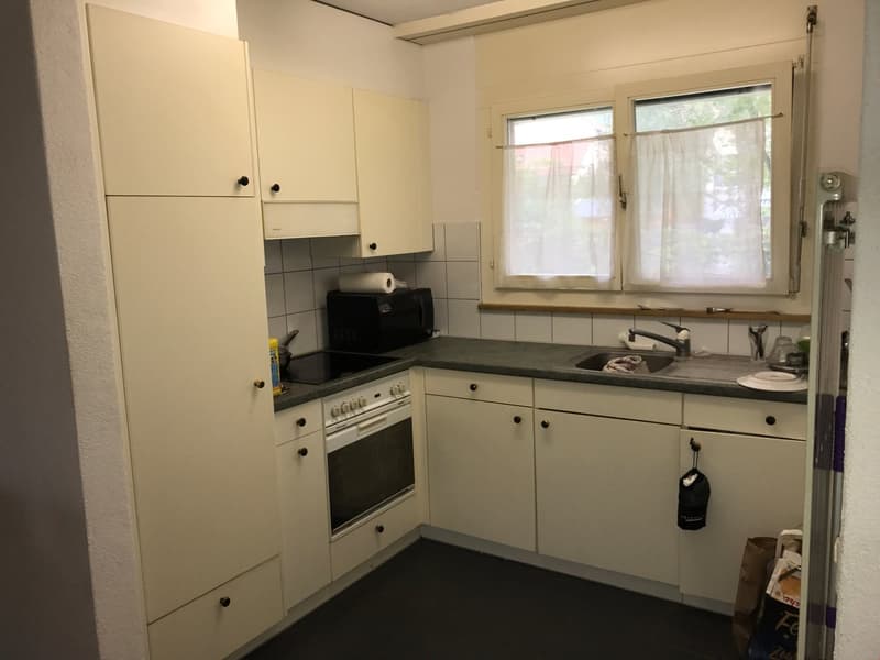 schöne und helle 2-Zimmerwohnung mit Gartensitzplatz an ruhiger Lage (4)