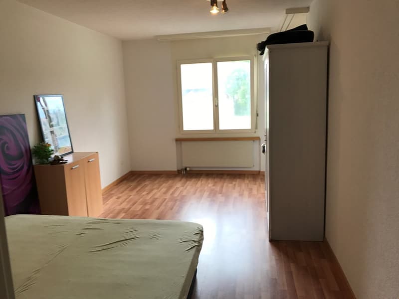 schöne und helle 2-Zimmerwohnung mit Gartensitzplatz an ruhiger Lage (8)