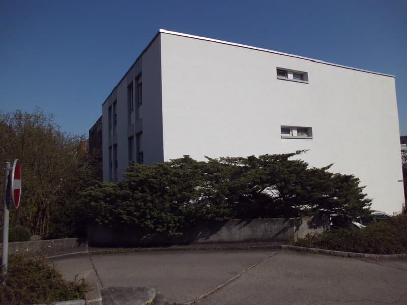 renovierte Wohnung in Brügg (1)