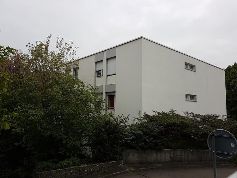 renovierte Wohnung in Brügg (2)