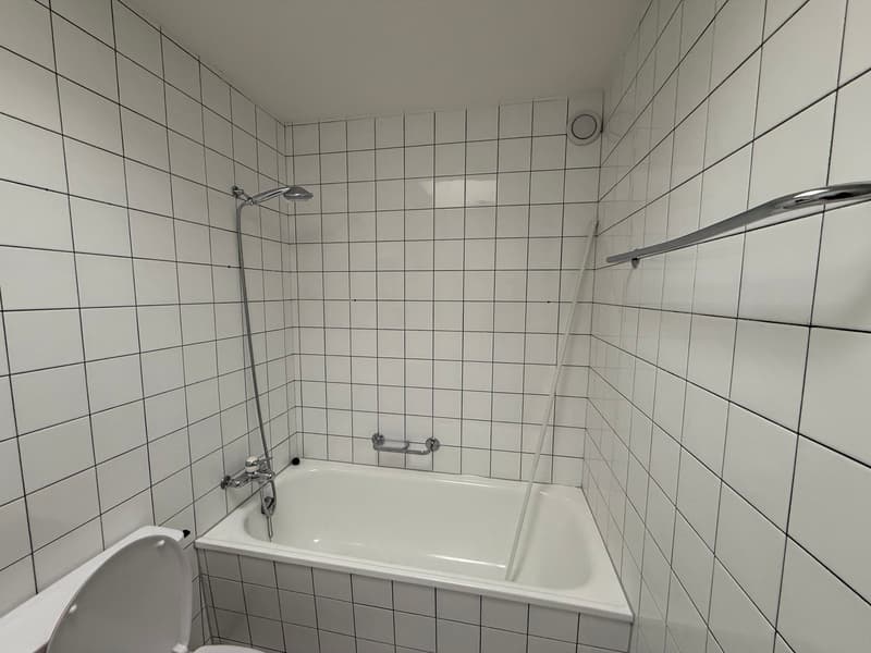 renovierte Wohnung in Brügg (10)
