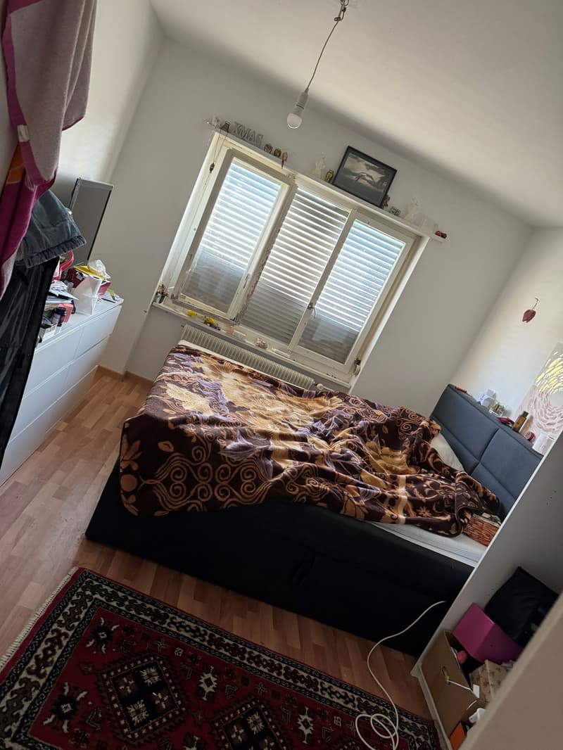 2-Zimmerwohnung an ruhiger Lage in Brügg (4)