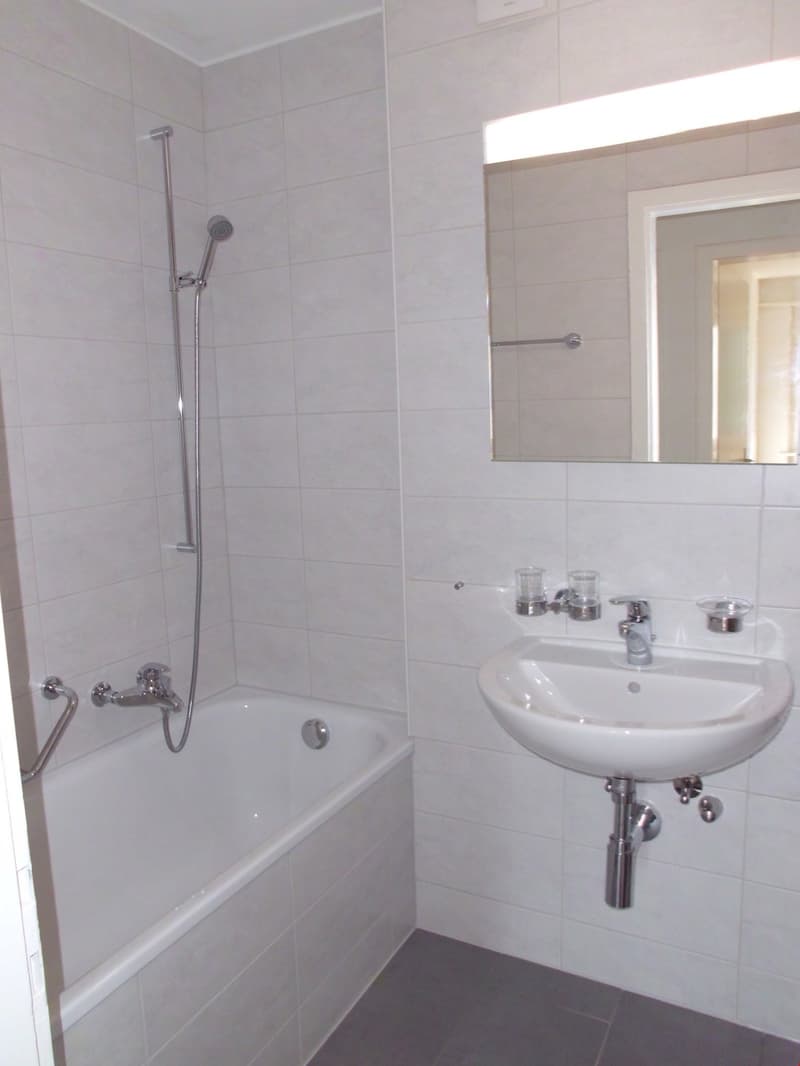 schön renovierte 3.5-Zimmerwohnungen mit Balkon und gemeinsamer Garten (4)