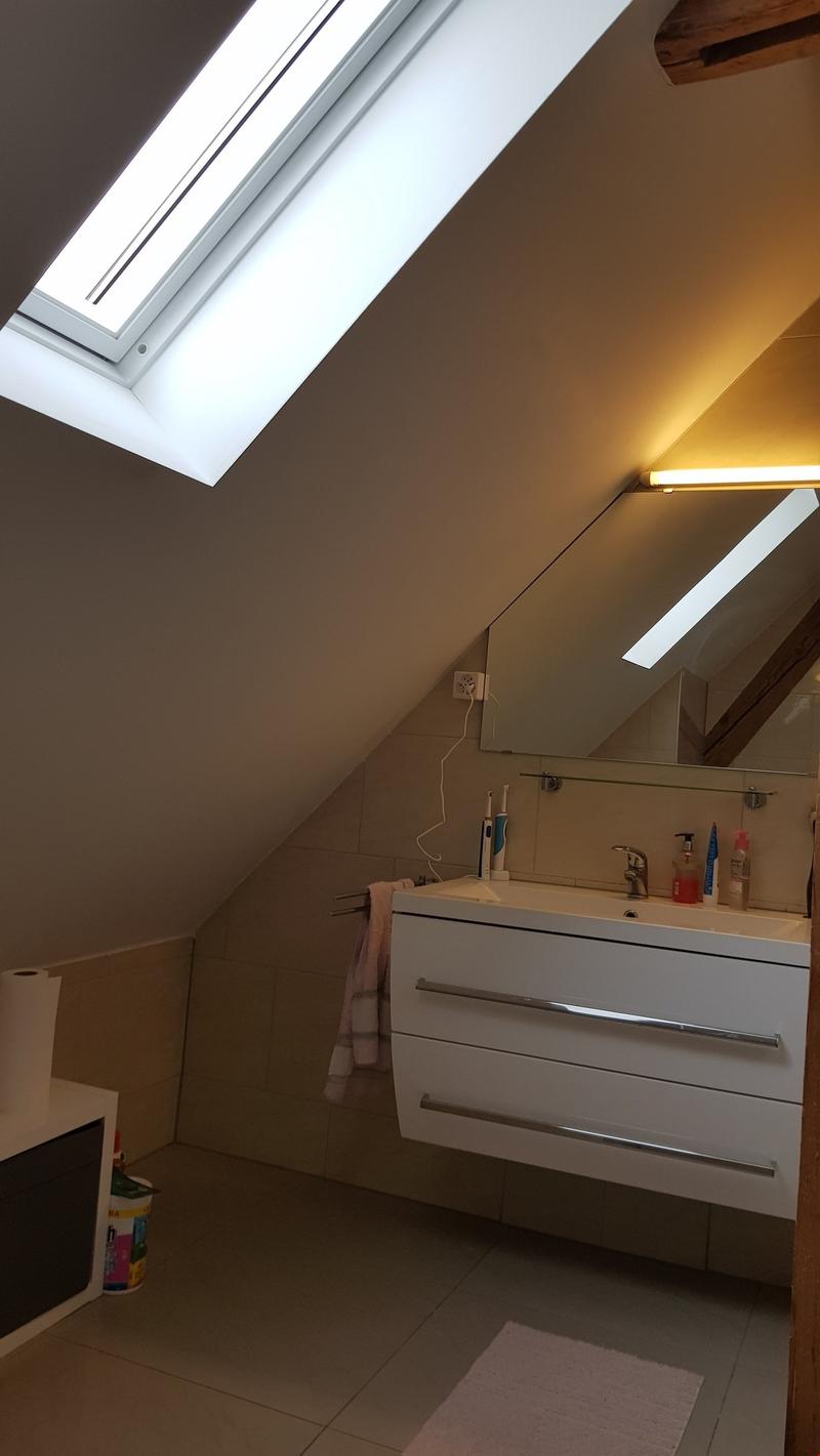 wunderschöne 2.5-Zi-Dachwohnung in kleinem 3-Familienhaus zu vermieten (11)