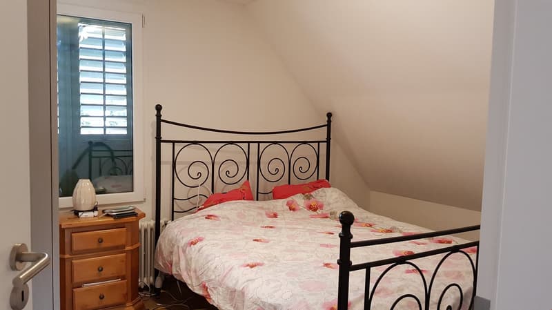 wunderschöne 2.5-Zi-Dachwohnung in kleinem 3-Familienhaus zu vermieten (9)