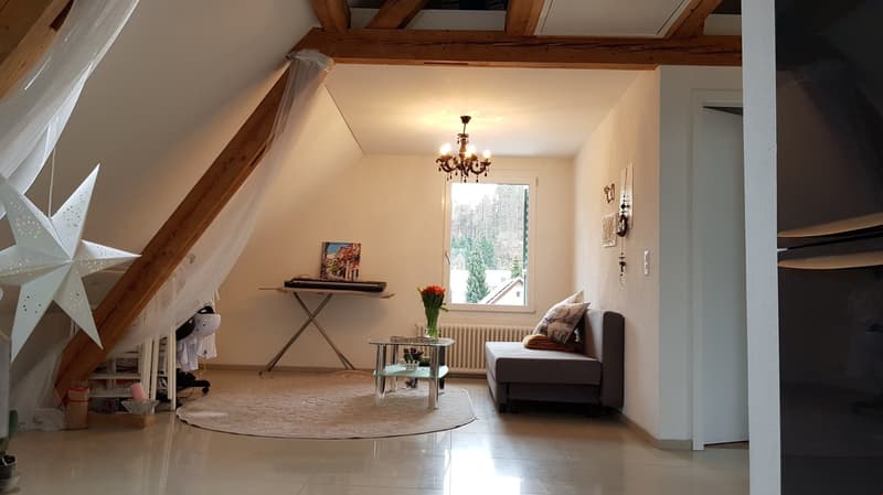wunderschöne 2.5-Zi-Dachwohnung in kleinem 3-Familienhaus zu vermieten (4)