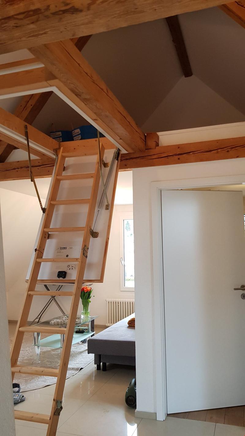 wunderschöne 2.5-Zi-Dachwohnung in kleinem 3-Familienhaus zu vermieten (7)
