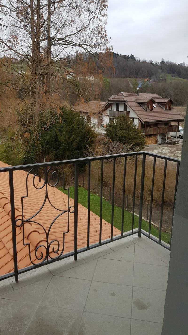 wunderschöne 2.5-Zi-Dachwohnung in kleinem 3-Familienhaus zu vermieten (13)