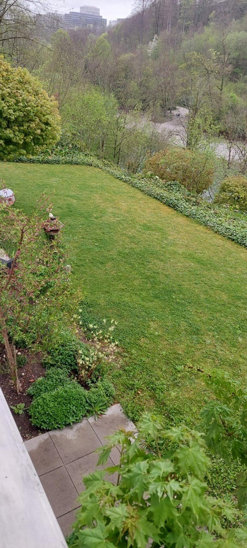 schöne und helle 4.5-Zimmerwohnung mit Aussicht auf die Aare (4)