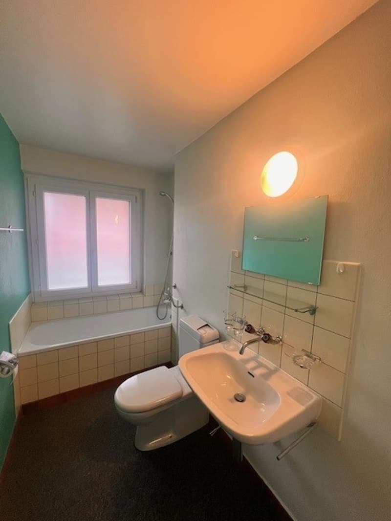 Gemütliches 1-Zimmer-Studio mit Balkon in Grenchen (5)
