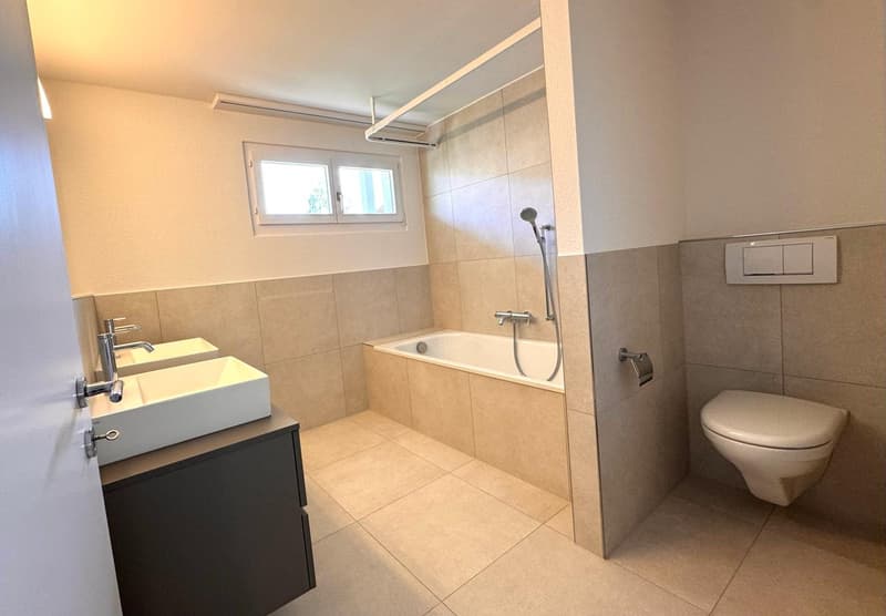 Newly renovated 6.5-room single-family house with studio apartment (12)