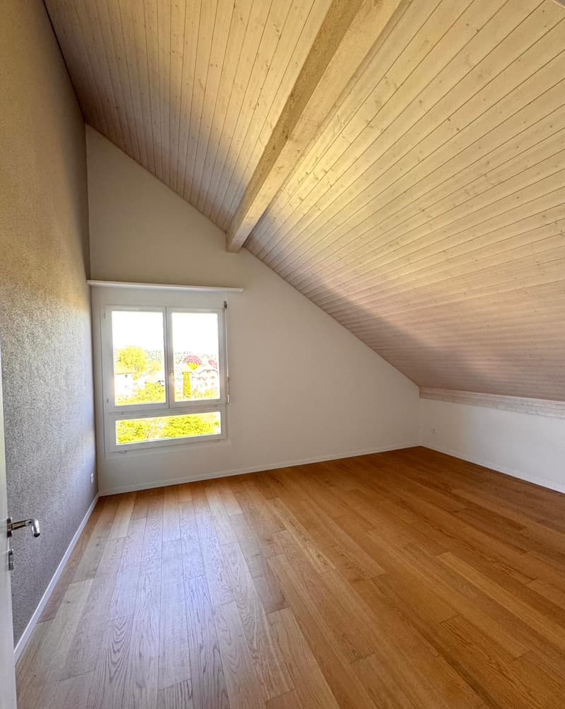 Newly renovated 6.5-room single-family house with studio apartment (8)