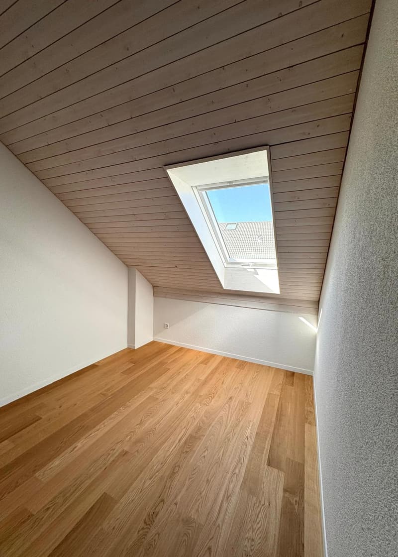 Newly renovated 6.5-room single-family house with studio apartment (10)