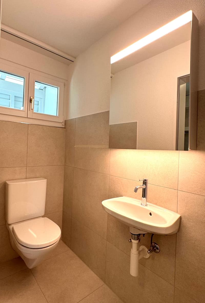 Newly renovated 6.5-room single-family house with studio apartment (13)