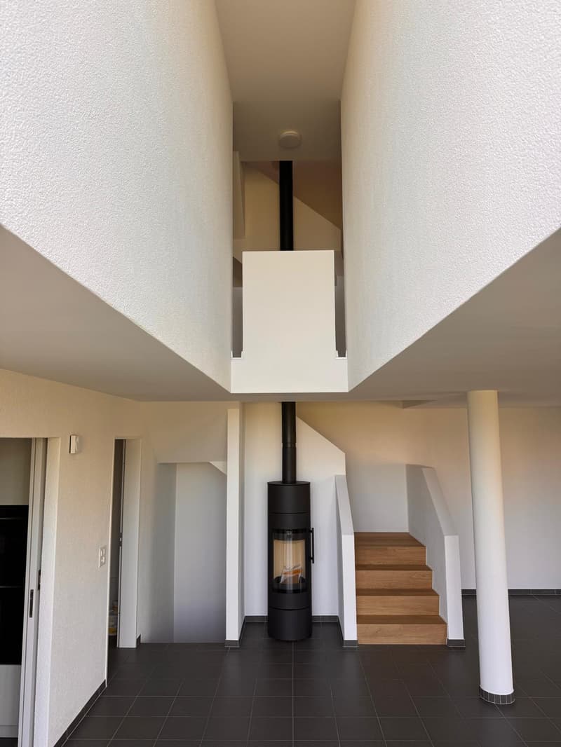Newly renovated 6.5-room single-family house with studio apartment (2)