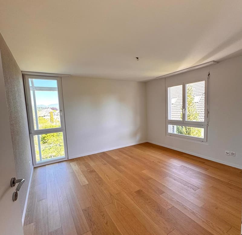 Newly renovated 6.5-room single-family house with studio apartment (11)
