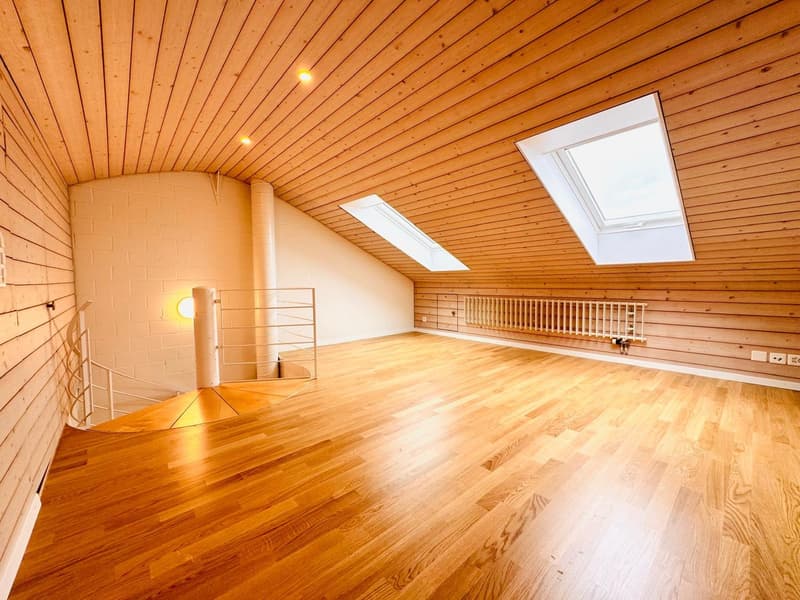 Newly renovated 5.5-room maisonette apartment in a quiet location (1)