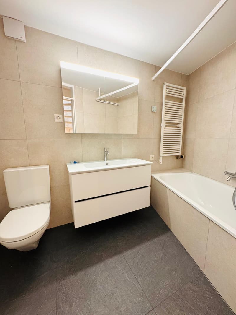 Newly renovated 5.5-room maisonette apartment in a quiet location (8)