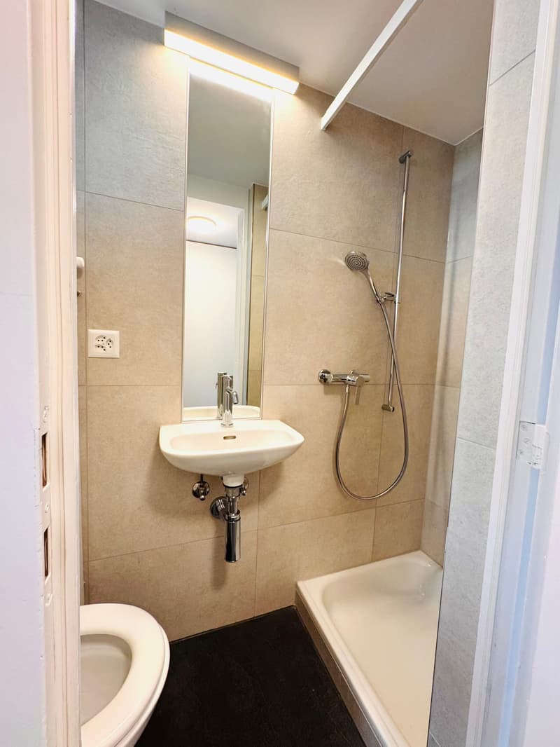 Newly renovated 5.5-room maisonette apartment in a quiet location (9)