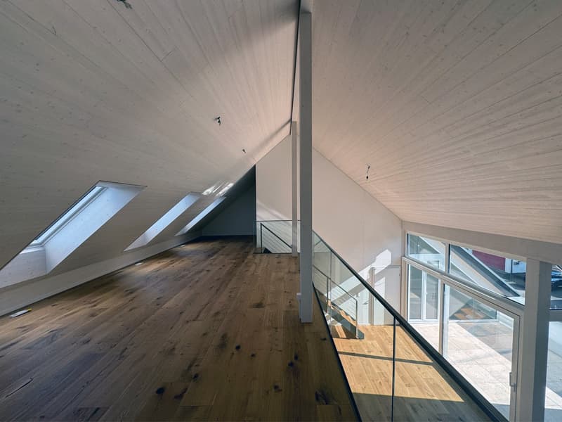 Attic room, wooden floor, glass windows, glass railings, skylights