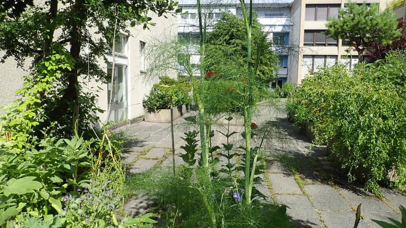 Bern-Länggassquartier, in affitto - appartamento 2.5 locali luminoso con area di seduta spaziosa! (7)