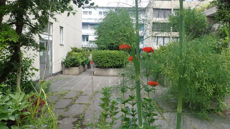 Bern-Länggassquartier, in affitto - appartamento 2.5 locali luminoso con area di seduta spaziosa! (10)