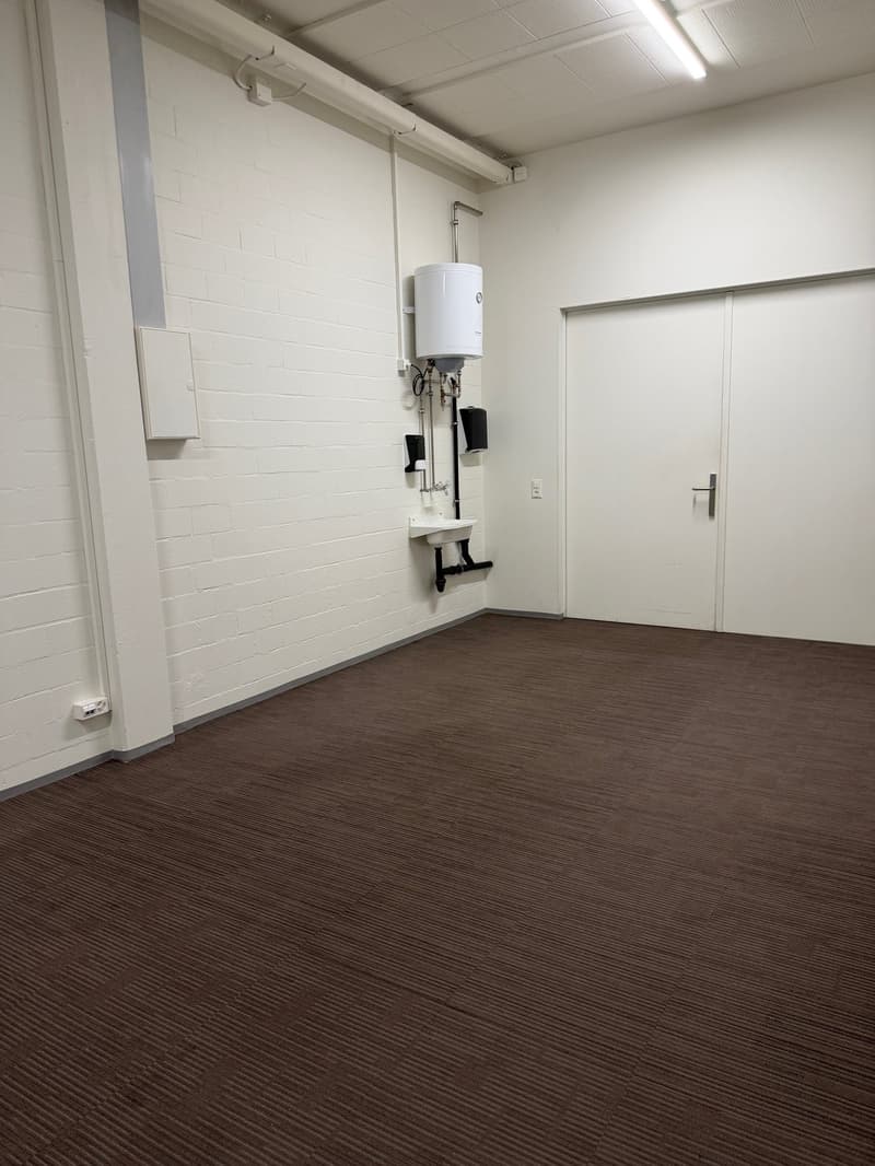 empty room with white brick walls, brown carpeted floor, sink, and pipes on the wall