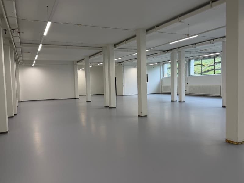Officina spaziosa in affitto a Grenchen (3)