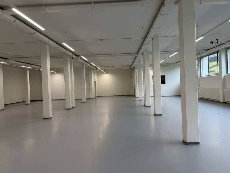 Officina spaziosa in affitto a Grenchen (4)