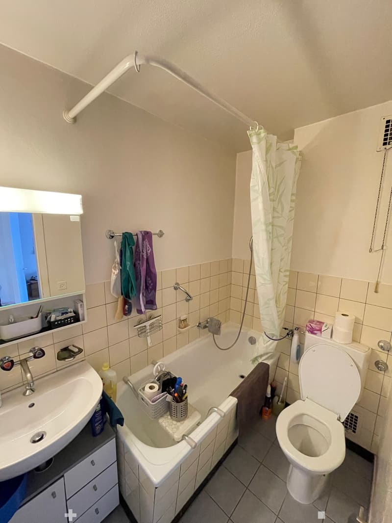 Appartement de 3.5 pièces dans un quartier très calme (4)
