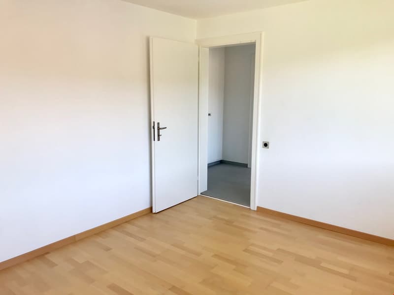 empty room, white walls, wooden floor, open door, small closet