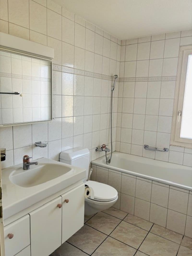4.5-room apartment in a well-maintained multi-family house (7)