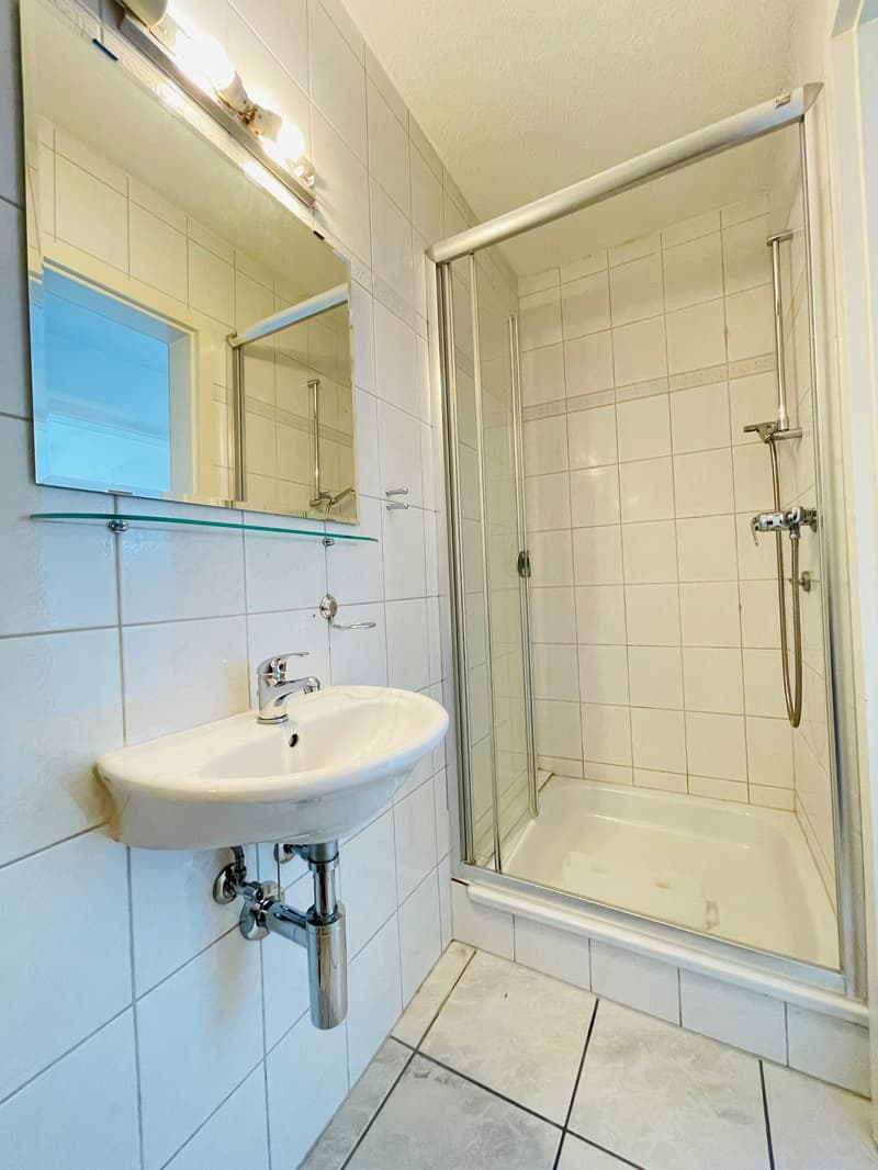 4.5-Room Apartment with Gallery (11)