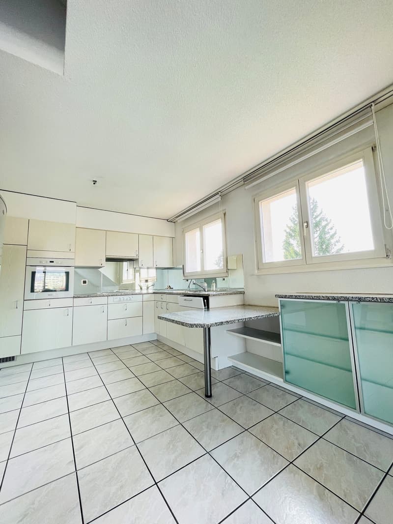 4.5-Room Apartment with Gallery (8)