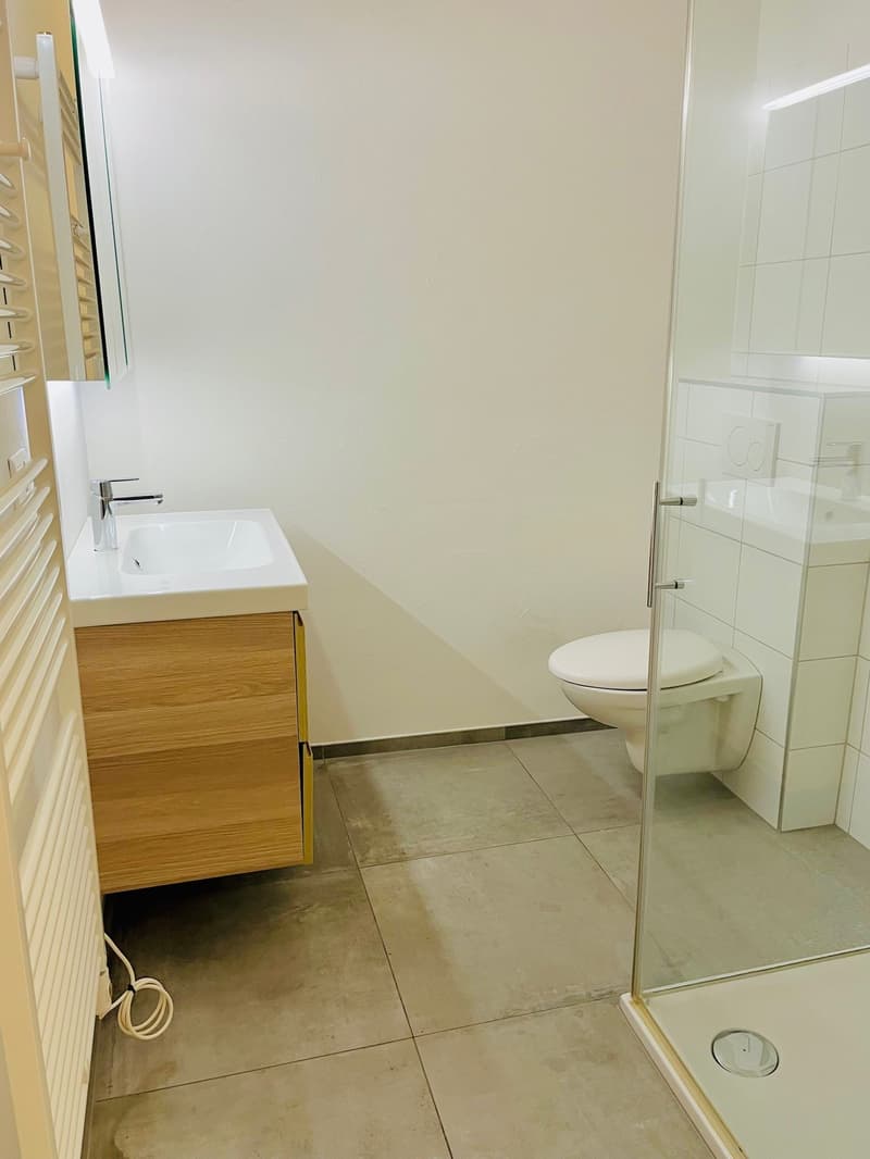 Modern 3.5-room loft apartment in the old town of Burgdorf (3)