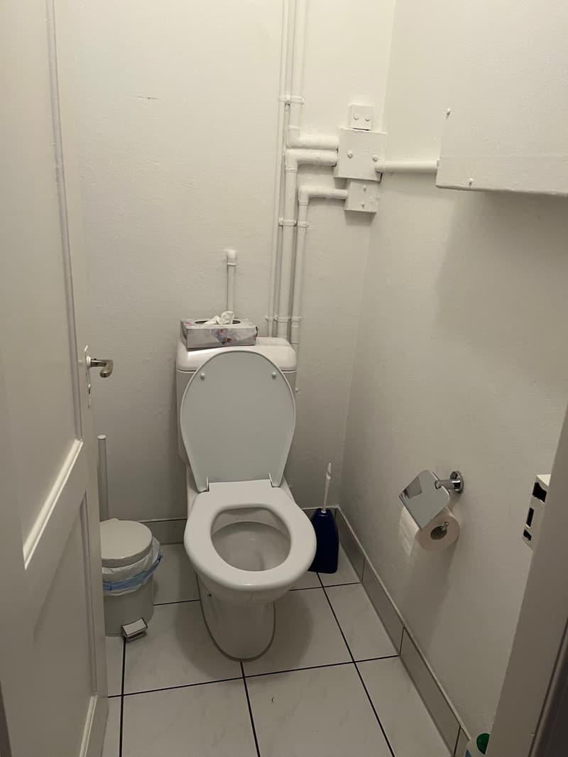 Small bathroom with white tiled floor, white walls, toilet, toilet paper holder, tissue box, and a trash bin.