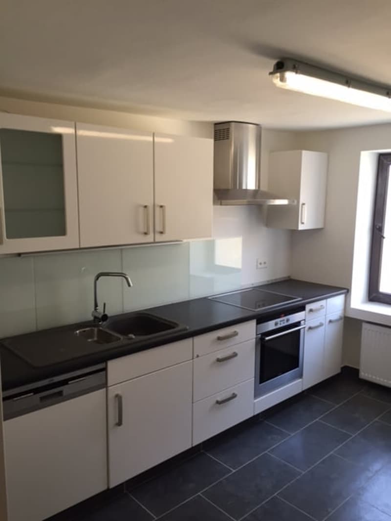 3-room apartments near the train station (1)