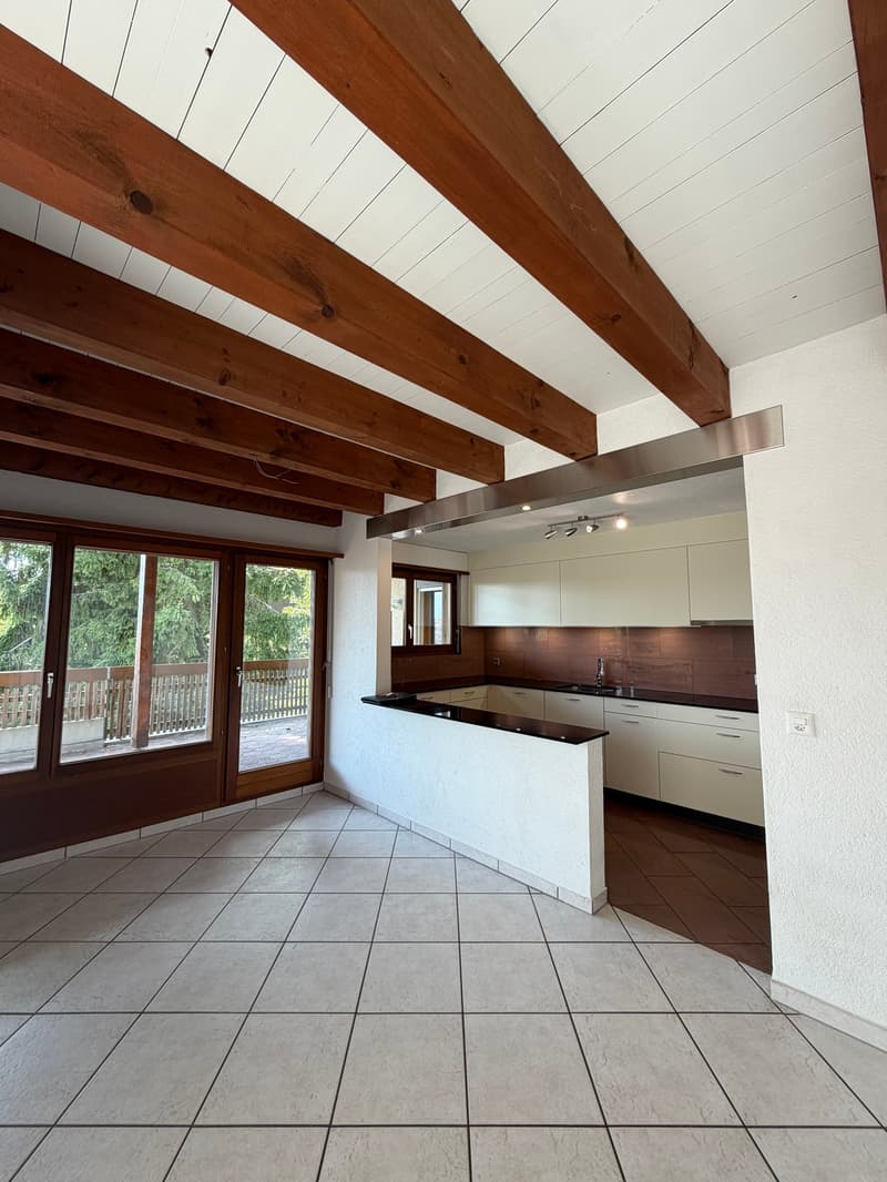 Charmant appartement en attique avec grande terrasse privée (3)