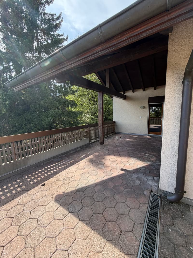Charmant appartement en attique avec grande terrasse privée (4)
