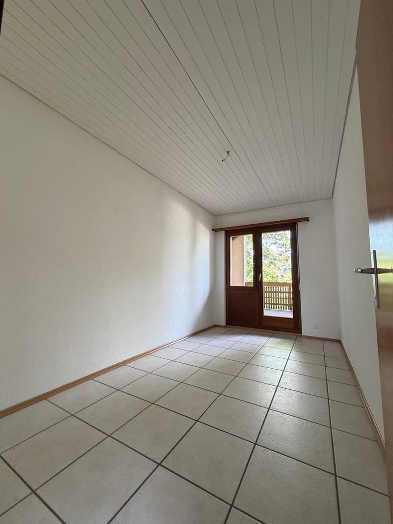 Charmant appartement en attique avec grande terrasse privée (12)