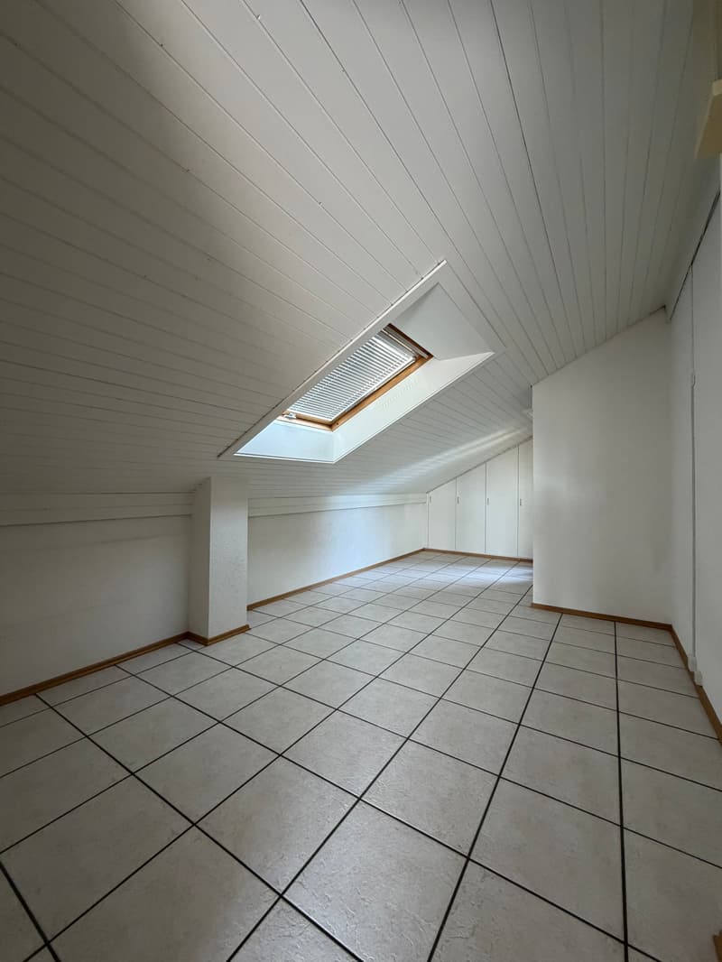 Charmant appartement en attique avec grande terrasse privée (8)