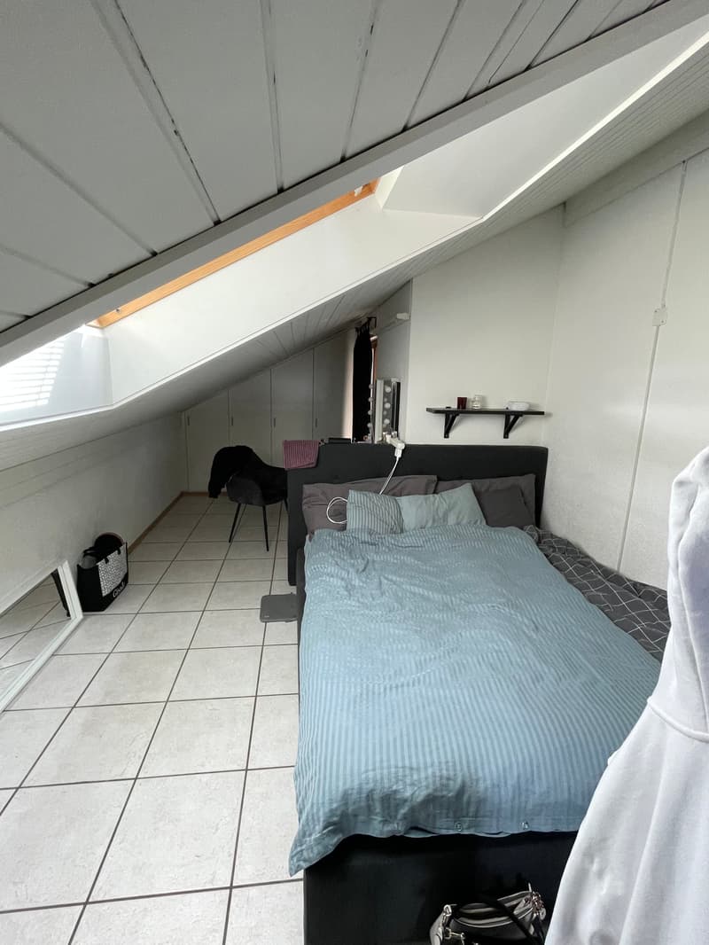 Delizioso appartamento in mansarda con grande terrazza privata (14)
