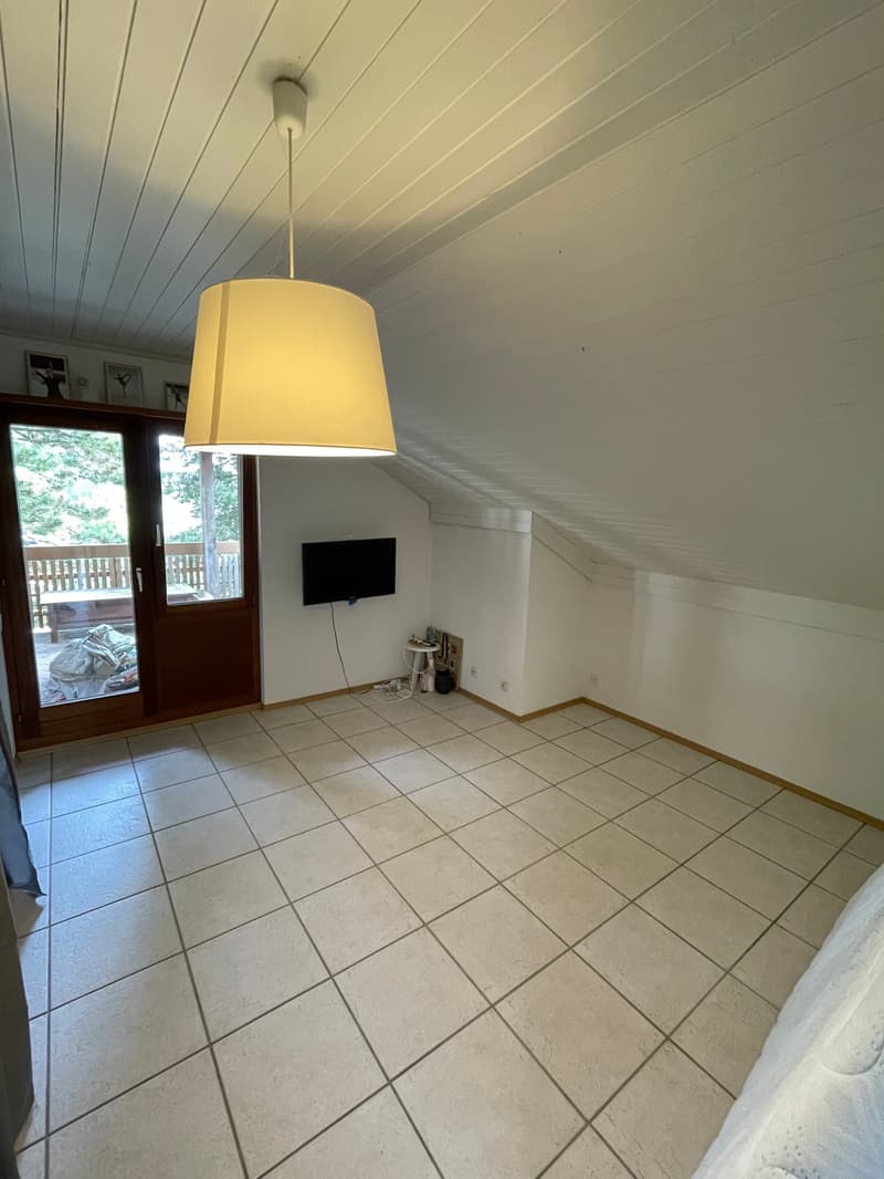 Delizioso appartamento in mansarda con grande terrazza privata (10)