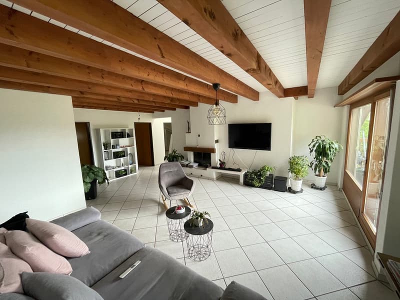 Delizioso appartamento in mansarda con grande terrazza privata (2)