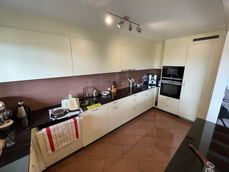 Delizioso appartamento in mansarda con grande terrazza privata (4)