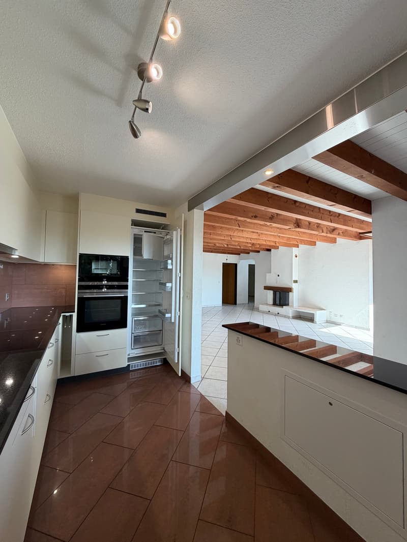 Charmant appartement en attique avec grande terrasse privée (2)