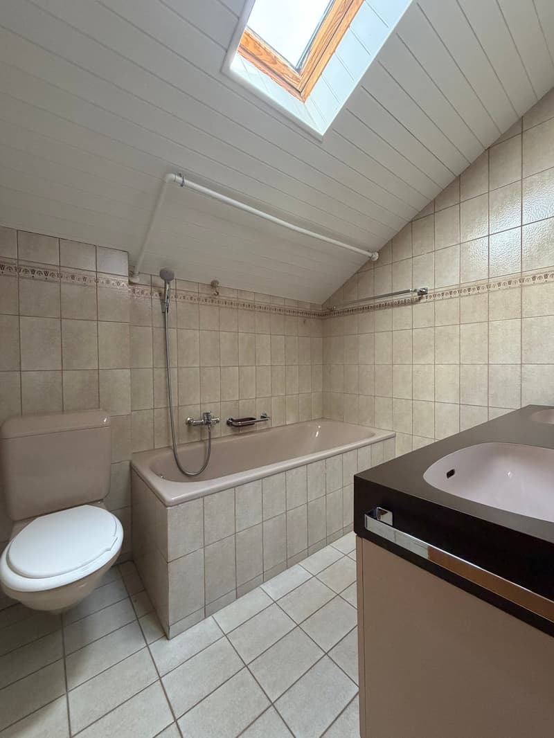 Charmant appartement en attique avec grande terrasse privée (9)