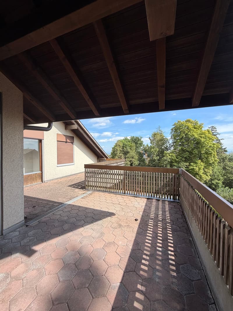 Charmant appartement en attique avec grande terrasse privée (5)