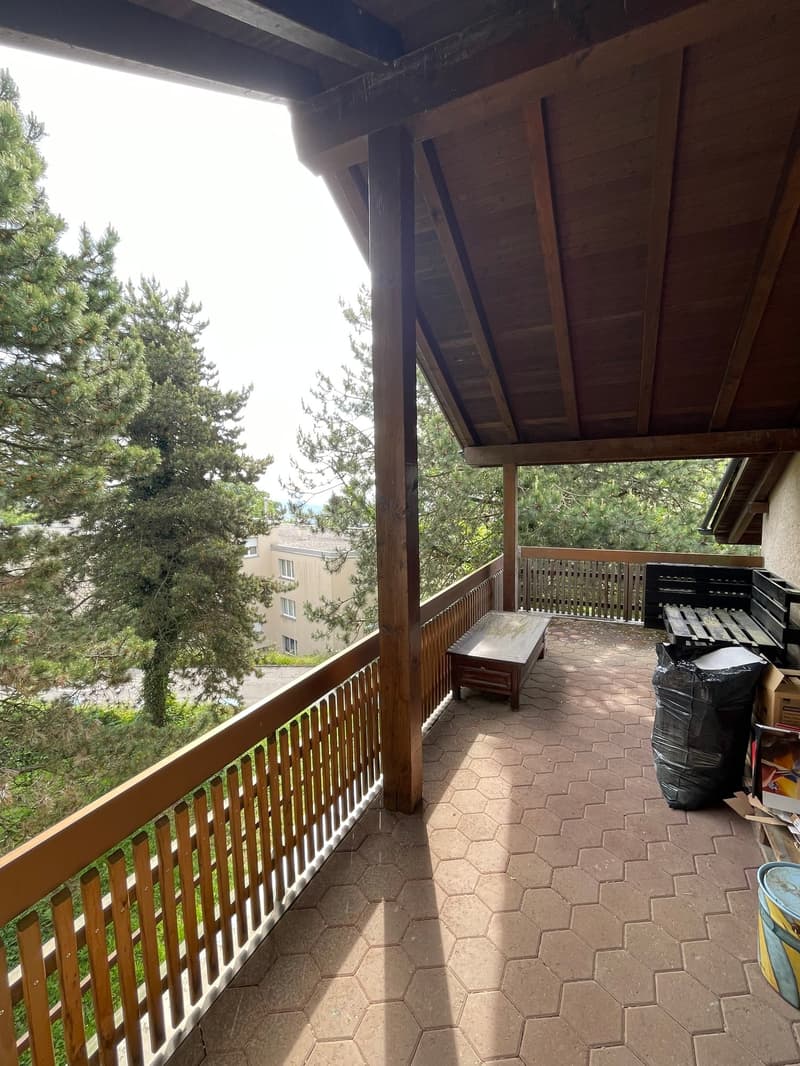 Delizioso appartamento in mansarda con grande terrazza privata (6)