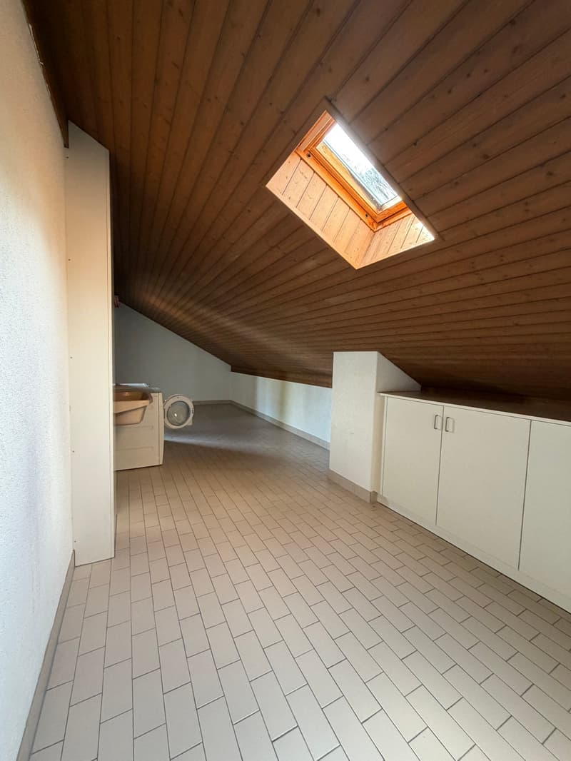 Charmant appartement en attique avec grande terrasse privée (10)
